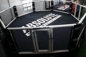 The Art of Elevated MMA Training & Techniques Ultimate Guide to MMA: Training, Techniques, and Top Fighters in The World The Art of Elevated MMA Training & Techniques | Ultimate Guide to MMA: Training, Techniques, and Top Fighters in The World