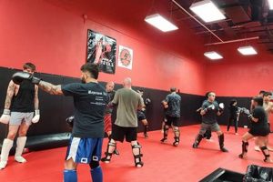 Best MMA Gyms & Training in San Antonio Ultimate Guide to MMA: Training, Techniques, and Top Fighters in The World Best MMA Gyms & Training in San Antonio | Ultimate Guide to MMA: Training, Techniques, and Top Fighters in The World