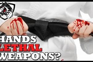 Do MMA Fighters Register Their Hands? Fact Check Ultimate Guide to MMA: Training, Techniques, and Top Fighters in The World Do MMA Fighters Register Their Hands? Fact Check | Ultimate Guide to MMA: Training, Techniques, and Top Fighters in The World