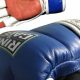 Show Your Pride: MMA Gloves & Gear | Ultimate Guide to MMA: Training, Techniques, and Top Fighters in The World