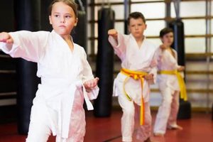 Best MMA Classes & Gyms in Sacramento, CA Ultimate Guide to MMA: Training, Techniques, and Top Fighters in The World Best MMA Classes & Gyms in Sacramento, CA | Ultimate Guide to MMA: Training, Techniques, and Top Fighters in The World