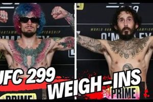 Sean O'Malley's MMA Core: Strength Secrets Ultimate Guide to MMA: Training, Techniques, and Top Fighters in The World Sean O'Malley's MMA Core: Strength Secrets | Ultimate Guide to MMA: Training, Techniques, and Top Fighters in The World