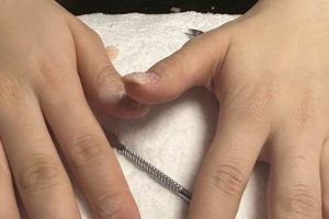 Mma On Nails Ultimate Guide to MMA: Training, Techniques, and Top Fighters in The World Mma On Nails | Ultimate Guide to MMA: Training, Techniques, and Top Fighters in The World