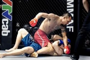 Ultimate TKO MMA Finishes & Highlights | Ultimate Guide to MMA: Training, Techniques, and Top Fighters in The World