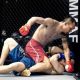Ultimate TKO MMA Finishes & Highlights | Ultimate Guide to MMA: Training, Techniques, and Top Fighters in The World