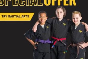 Best MMA Gyms & Training in Harlingen, TX Ultimate Guide to MMA: Training, Techniques, and Top Fighters in The World Best MMA Gyms & Training in Harlingen, TX | Ultimate Guide to MMA: Training, Techniques, and Top Fighters in The World