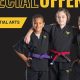 Best MMA Gyms & Training in Harlingen, TX | Ultimate Guide to MMA: Training, Techniques, and Top Fighters in The World