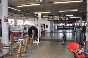 Best Tristar MMA Gym: Montreal's Top MMA Training Ultimate Guide to MMA: Training, Techniques, and Top Fighters in The World Best Tristar MMA Gym: Montreal's Top MMA Training | Ultimate Guide to MMA: Training, Techniques, and Top Fighters in The World