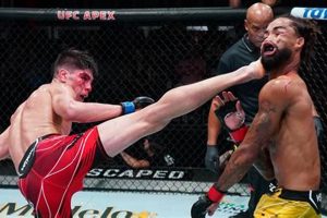 Ultimate MMA KO Power: Tips & Techniques Ultimate Guide to MMA: Training, Techniques, and Top Fighters in The World Ultimate MMA KO Power: Tips & Techniques | Ultimate Guide to MMA: Training, Techniques, and Top Fighters in The World