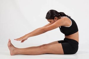 Best MMA Stretches for Flexibility & Power | Ultimate Guide to MMA: Training, Techniques, and Top Fighters in The World