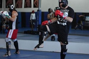 Top 5 Best MMA Knee Pads for 2024 Ultimate Guide to MMA: Training, Techniques, and Top Fighters in The World Top 5 Best MMA Knee Pads for 2024 | Ultimate Guide to MMA: Training, Techniques, and Top Fighters in The World