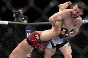Best MMA Lines & Odds Explained Ultimate Guide to MMA: Training, Techniques, and Top Fighters in The World Best MMA Lines & Odds Explained | Ultimate Guide to MMA: Training, Techniques, and Top Fighters in The World
