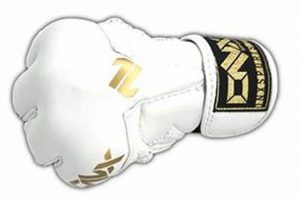 Best ONX MMA Gloves: Top Picks & Reviews Ultimate Guide to MMA: Training, Techniques, and Top Fighters in The World Best ONX MMA Gloves: Top Picks & Reviews | Ultimate Guide to MMA: Training, Techniques, and Top Fighters in The World