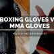 Best MMA vs Boxing Gloves: Ultimate Guide | Ultimate Guide to MMA: Training, Techniques, and Top Fighters in The World