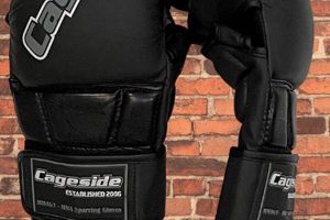 Essential MMA Sparring Equipment for Training Ultimate Guide to MMA: Training, Techniques, and Top Fighters in The World Essential MMA Sparring Equipment for Training | Ultimate Guide to MMA: Training, Techniques, and Top Fighters in The World