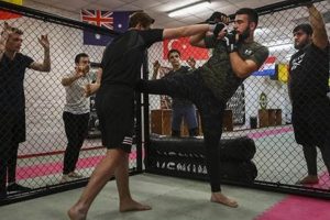 Unlocking the Lemma: A Key to Understanding Language Ultimate Guide to MMA: Training, Techniques, and Top Fighters in The World Unlocking the Lemma: A Key to Understanding Language | Ultimate Guide to MMA: Training, Techniques, and Top Fighters in The World
