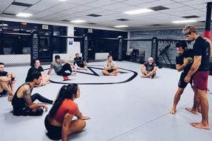 Top Colorado MMA Gyms: Train Like a Pro Ultimate Guide to MMA: Training, Techniques, and Top Fighters in The World Top Colorado MMA Gyms: Train Like a Pro | Ultimate Guide to MMA: Training, Techniques, and Top Fighters in The World