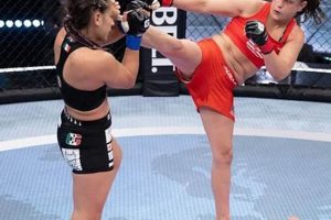 Best MMA Gyms & Training in Murfreesboro, TN Ultimate Guide to MMA: Training, Techniques, and Top Fighters in The World Best MMA Gyms & Training in Murfreesboro, TN | Ultimate Guide to MMA: Training, Techniques, and Top Fighters in The World