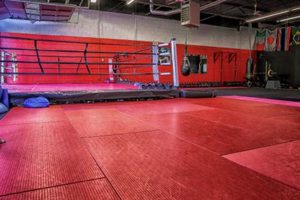 The Undisputed MMA Gym: Train Like a Champion Ultimate Guide to MMA: Training, Techniques, and Top Fighters in The World The Undisputed MMA Gym: Train Like a Champion | Ultimate Guide to MMA: Training, Techniques, and Top Fighters in The World