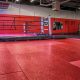 The Undisputed MMA Gym: Train Like a Champion | Ultimate Guide to MMA: Training, Techniques, and Top Fighters in The World