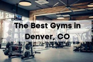 Best MMA Gyms & Training in Denver, CO Ultimate Guide to MMA: Training, Techniques, and Top Fighters in The World Best MMA Gyms & Training in Denver, CO | Ultimate Guide to MMA: Training, Techniques, and Top Fighters in The World
