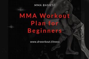 Get Free MMA Training Online & In-Person Ultimate Guide to MMA: Training, Techniques, and Top Fighters in The World Get Free MMA Training Online & In-Person | Ultimate Guide to MMA: Training, Techniques, and Top Fighters in The World
