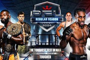 Top Professional Fighters League MMA Stars Ultimate Guide to MMA: Training, Techniques, and Top Fighters in The World Top Professional Fighters League MMA Stars | Ultimate Guide to MMA: Training, Techniques, and Top Fighters in The World