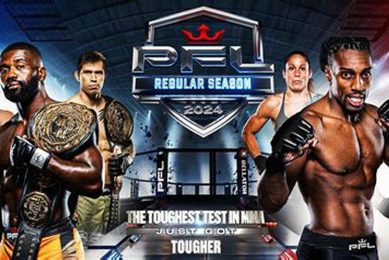 Top Professional Fighters League MMA Stars Ultimate Guide to MMA: Training, Techniques, and Top Fighters in The World Top Professional Fighters League MMA Stars | Ultimate Guide to MMA: Training, Techniques, and Top Fighters in The World