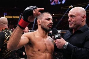 Should You Drop MMA Training? A Guide Ultimate Guide to MMA: Training, Techniques, and Top Fighters in The World Should You Drop MMA Training? A Guide | Ultimate Guide to MMA: Training, Techniques, and Top Fighters in The World