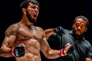 Ultimate Lightweight MMA Guide & Tips Ultimate Guide to MMA: Training, Techniques, and Top Fighters in The World Ultimate Lightweight MMA Guide & Tips | Ultimate Guide to MMA: Training, Techniques, and Top Fighters in The World