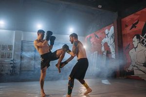 Ultimate Swiftkick Guide: MMA & Boxing Ultimate Guide to MMA: Training, Techniques, and Top Fighters in The World Ultimate Swiftkick Guide: MMA & Boxing | Ultimate Guide to MMA: Training, Techniques, and Top Fighters in The World