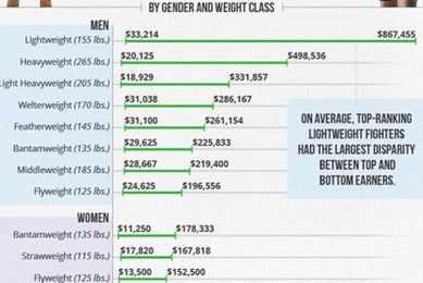 Pro MMA Fighter Salaries: A Complete Guide Ultimate Guide to MMA: Training, Techniques, and Top Fighters in The World Pro MMA Fighter Salaries: A Complete Guide | Ultimate Guide to MMA: Training, Techniques, and Top Fighters in The World