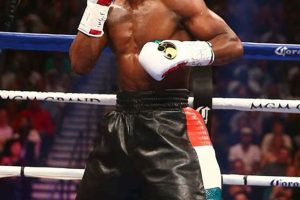MMA Legend Floyd Mayweather's Boxing Legacy Ultimate Guide to MMA: Training, Techniques, and Top Fighters in The World MMA Legend Floyd Mayweather's Boxing Legacy | Ultimate Guide to MMA: Training, Techniques, and Top Fighters in The World