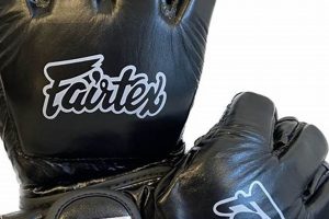 Best Fairtex Gloves for MMA Training & Fights Ultimate Guide to MMA: Training, Techniques, and Top Fighters in The World Best Fairtex Gloves for MMA Training & Fights | Ultimate Guide to MMA: Training, Techniques, and Top Fighters in The World