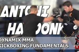 The Ultimate Guide to Dynamix MMA Training Ultimate Guide to MMA: Training, Techniques, and Top Fighters in The World The Ultimate Guide to Dynamix MMA Training | Ultimate Guide to MMA: Training, Techniques, and Top Fighters in The World