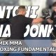 The Ultimate Guide to Dynamix MMA Training | Ultimate Guide to MMA: Training, Techniques, and Top Fighters in The World