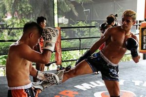 Tiger Mma Thailand Ultimate Guide to MMA: Training, Techniques, and Top Fighters in The World Tiger Mma Thailand | Ultimate Guide to MMA: Training, Techniques, and Top Fighters in The World