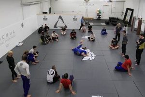 Top 5 Best MMA Gyms in Chicago: Train Like a Pro Ultimate Guide to MMA: Training, Techniques, and Top Fighters in The World Top 5 Best MMA Gyms in Chicago: Train Like a Pro | Ultimate Guide to MMA: Training, Techniques, and Top Fighters in The World