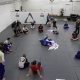 Top 5 Best MMA Gyms in Chicago: Train Like a Pro | Ultimate Guide to MMA: Training, Techniques, and Top Fighters in The World