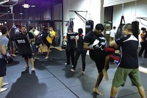 Ultimate Guide to Arena Combat Sports: Kickboxing, BJJ, MMA & Boxing Ultimate Guide to MMA: Training, Techniques, and Top Fighters in The World Ultimate Guide to Arena Combat Sports: Kickboxing, BJJ, MMA & Boxing | Ultimate Guide to MMA: Training, Techniques, and Top Fighters in The World