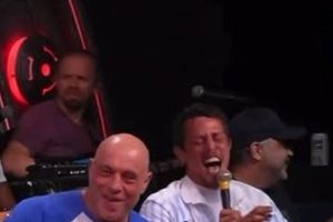 Finnish MMA Fighter Ari Matti's Profile | Ultimate Guide to MMA: Training, Techniques, and Top Fighters in The World