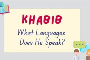 Khabib Speaks: Languages of the Eagle Ultimate Guide to MMA: Training, Techniques, and Top Fighters in The World Khabib Speaks: Languages of the Eagle | Ultimate Guide to MMA: Training, Techniques, and Top Fighters in The World