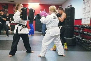 Train Like an Elite MMA Fighter: Pro Guide Ultimate Guide to MMA: Training, Techniques, and Top Fighters in The World Train Like an Elite MMA Fighter: Pro Guide | Ultimate Guide to MMA: Training, Techniques, and Top Fighters in The World