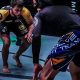 Top WNY MMA & Fitness in Buffalo NY | Ultimate Guide to MMA: Training, Techniques, and Top Fighters in The World