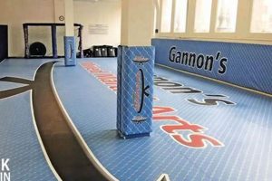 Best MMA Floors: Guide & Top Mats Ultimate Guide to MMA: Training, Techniques, and Top Fighters in The World Best MMA Floors: Guide & Top Mats | Ultimate Guide to MMA: Training, Techniques, and Top Fighters in The World