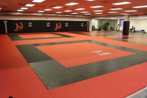 Best MMA Mats: Top Guide & Reviews Ultimate Guide to MMA: Training, Techniques, and Top Fighters in The World Best MMA Mats: Top Guide & Reviews | Ultimate Guide to MMA: Training, Techniques, and Top Fighters in The World