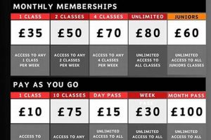 The Real Cost of Elite MMA Training & Expenses Ultimate Guide to MMA: Training, Techniques, and Top Fighters in The World The Real Cost of Elite MMA Training & Expenses | Ultimate Guide to MMA: Training, Techniques, and Top Fighters in The World