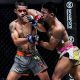Ultimate Guide: MMA vs. Thai Boxing - Which Reigns Supreme? | Ultimate Guide to MMA: Training, Techniques, and Top Fighters in The World