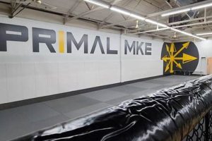 Unleash Your Primal Strength: MMA Gym & Fitness in MKE Ultimate Guide to MMA: Training, Techniques, and Top Fighters in The World Unleash Your Primal Strength: MMA Gym & Fitness in MKE | Ultimate Guide to MMA: Training, Techniques, and Top Fighters in The World