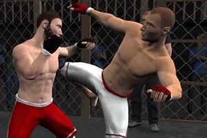 The Ultimate Guide to Undisputed MMA Champions Ultimate Guide to MMA: Training, Techniques, and Top Fighters in The World The Ultimate Guide to Undisputed MMA Champions | Ultimate Guide to MMA: Training, Techniques, and Top Fighters in The World